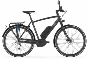 Gazelle Cityzen Speed S 45km/h gebraucht